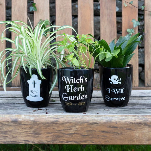 Gothic plant pots