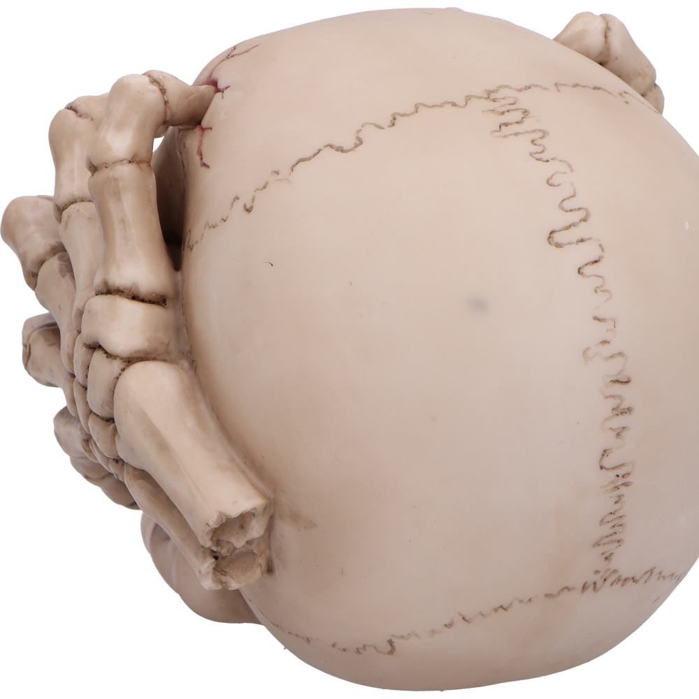 Cracked Skull