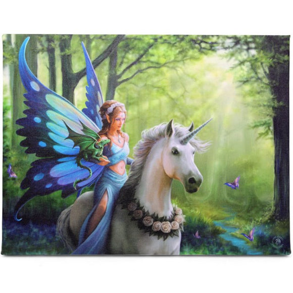 Fairy & Unicorn 'Realm of Enchantment' Picture