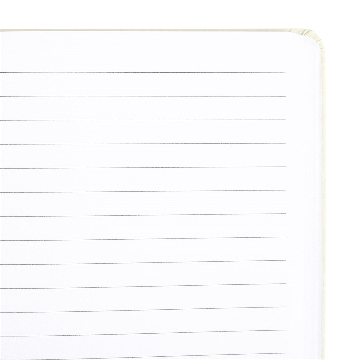 The Sun Celestial A5 Notebook