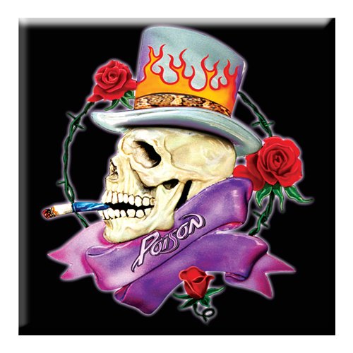 Poison Fridge Magnet: Smoking Skull