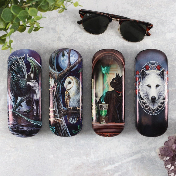 Glasses Cases