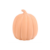 22cm Terracotta Pumpkin Ornament