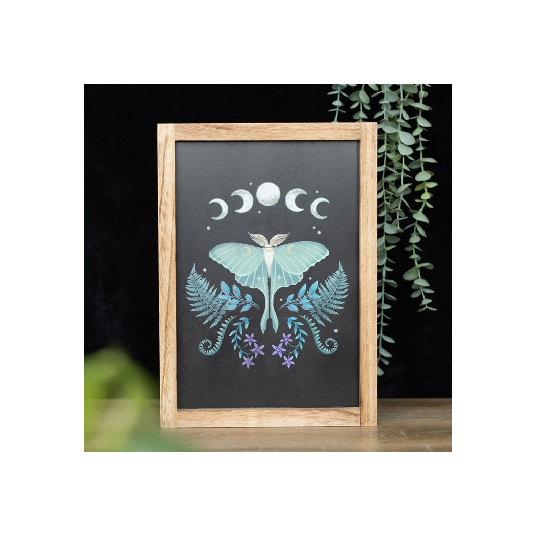 Luna Moth Framed Wall Art