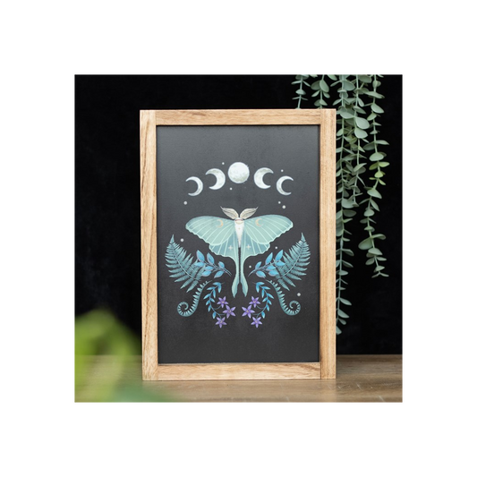 Luna Moth Framed Wall Art