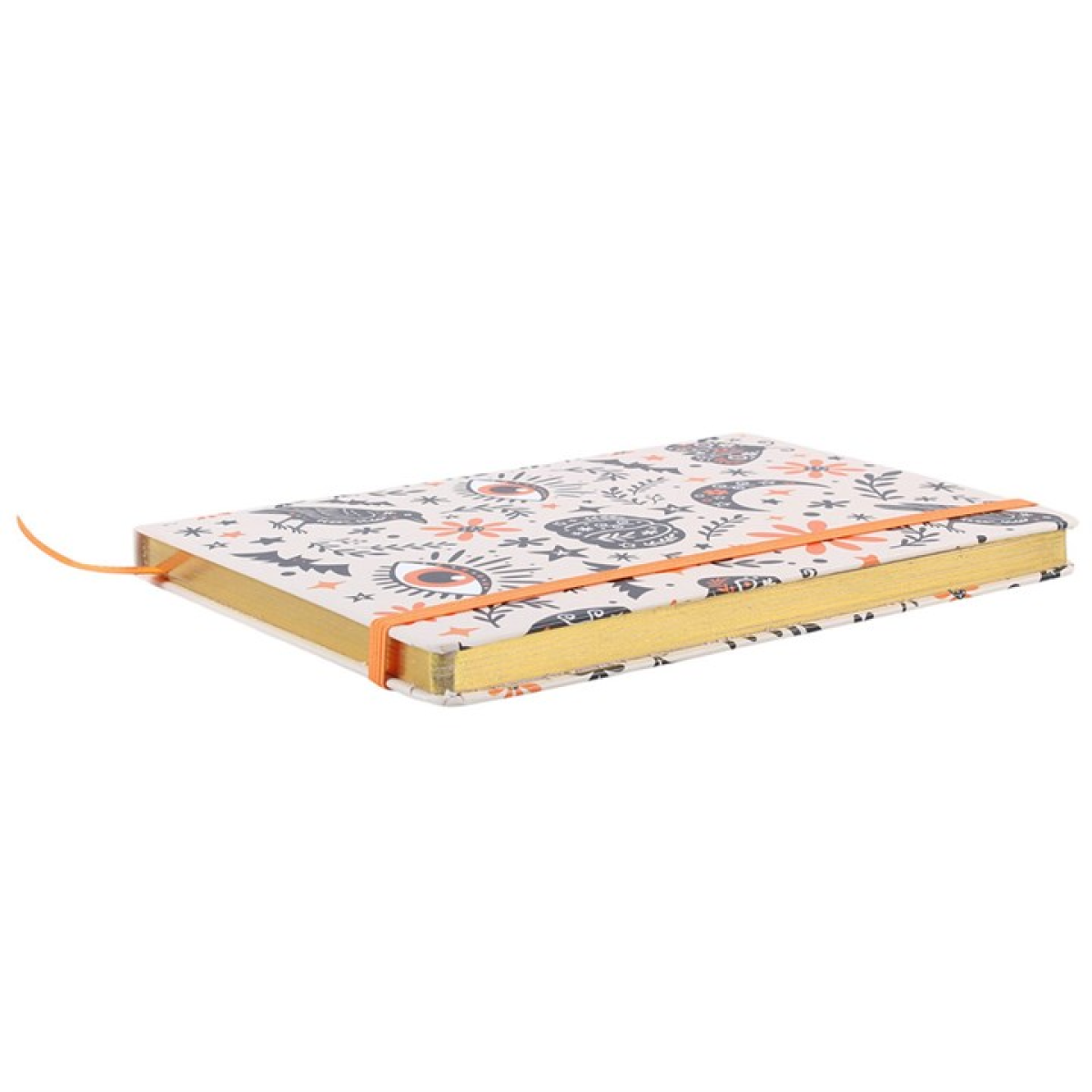 Frightful Folk A5 notebook showing lined pages and ribbon divider
