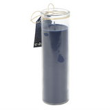 Blue Moon Phase Fig & Vanilla Scented Glass Tube Candle