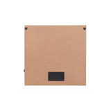 Luna Moth Light Up Canvas Plaque