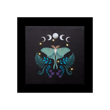 Luna Moth Light Up Canvas Plaque