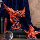 Adult Fire Dragon By Anne Stokes