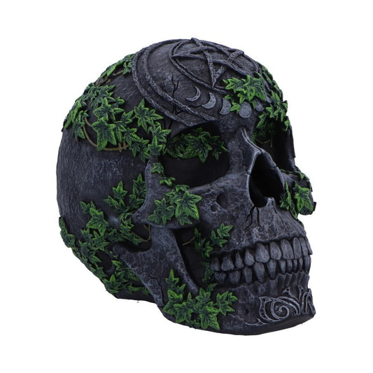 Aged Pentagram Skull Figurine