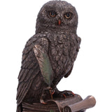 An Owl's Tale Bronze Figurine