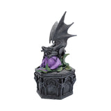 Anne Stokes Dragon Beauty Box