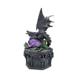 Anne Stokes Dragon Beauty Box