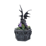Anne Stokes Dragon Beauty Box