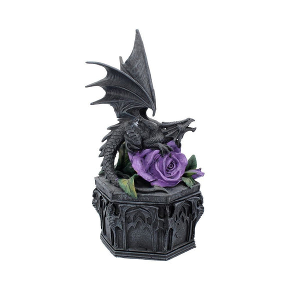 Anne Stokes Dragon Beauty Box