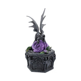 Anne Stokes Dragon Beauty Box