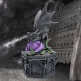Anne Stokes Dragon Beauty Box