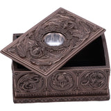 Anne Stokes Dragons of the Sabbats Tarot Box