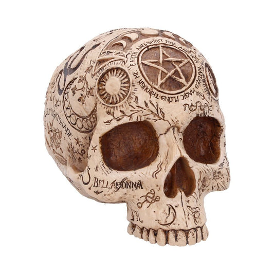 Apothecary Skull Figurine with occult symbols