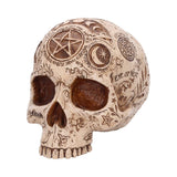 Apothecary Skull Figurine