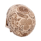 Apothecary Skull Figurine
