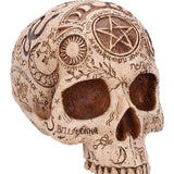 Apothecary Skull Figurine