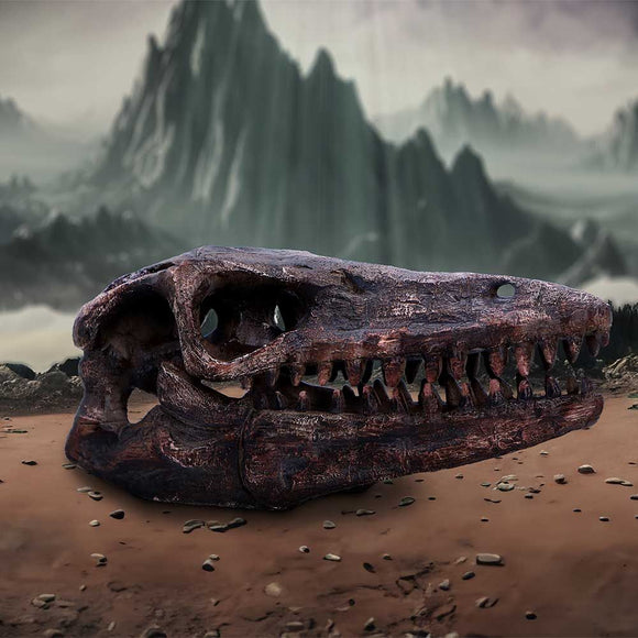 Archaeopteryx Skull Replica