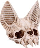 Bat Skull Vespertilio