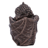 Bronze Dragon Snuggle Box