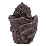 Bronze Dragon Snuggle Box