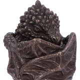 Bronze Dragon Snuggle Box