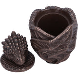 Bronze Dragon Snuggle Box