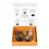 Capricorn Crystal Tumble Stone Set