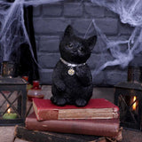 Cattitude Black Cat Figurine