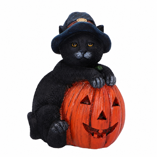 Trick or Treat Pumpkin Cat