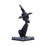 Conjure Spell Cats Figurine