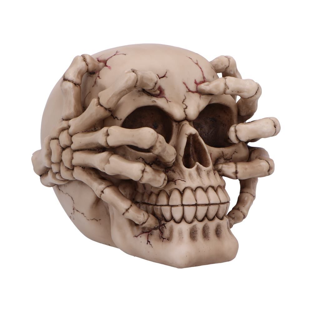 Cracked Skull