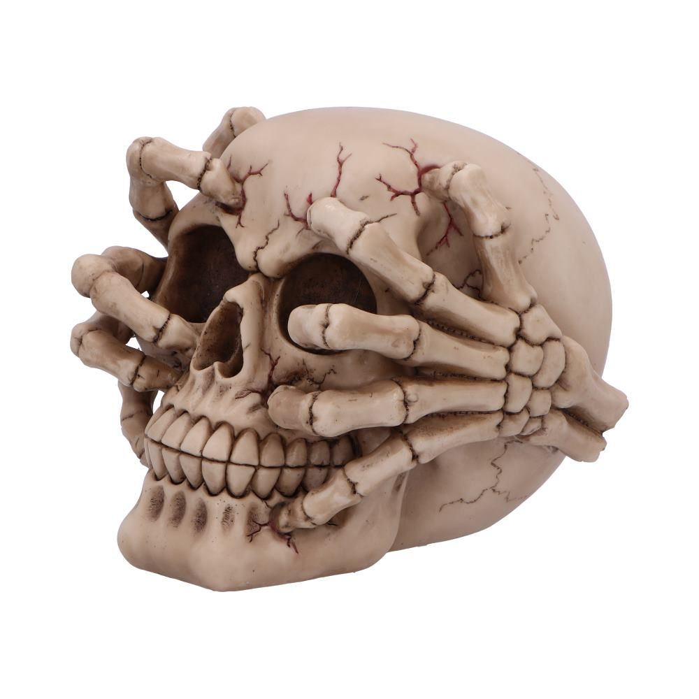 Cracked Skull
