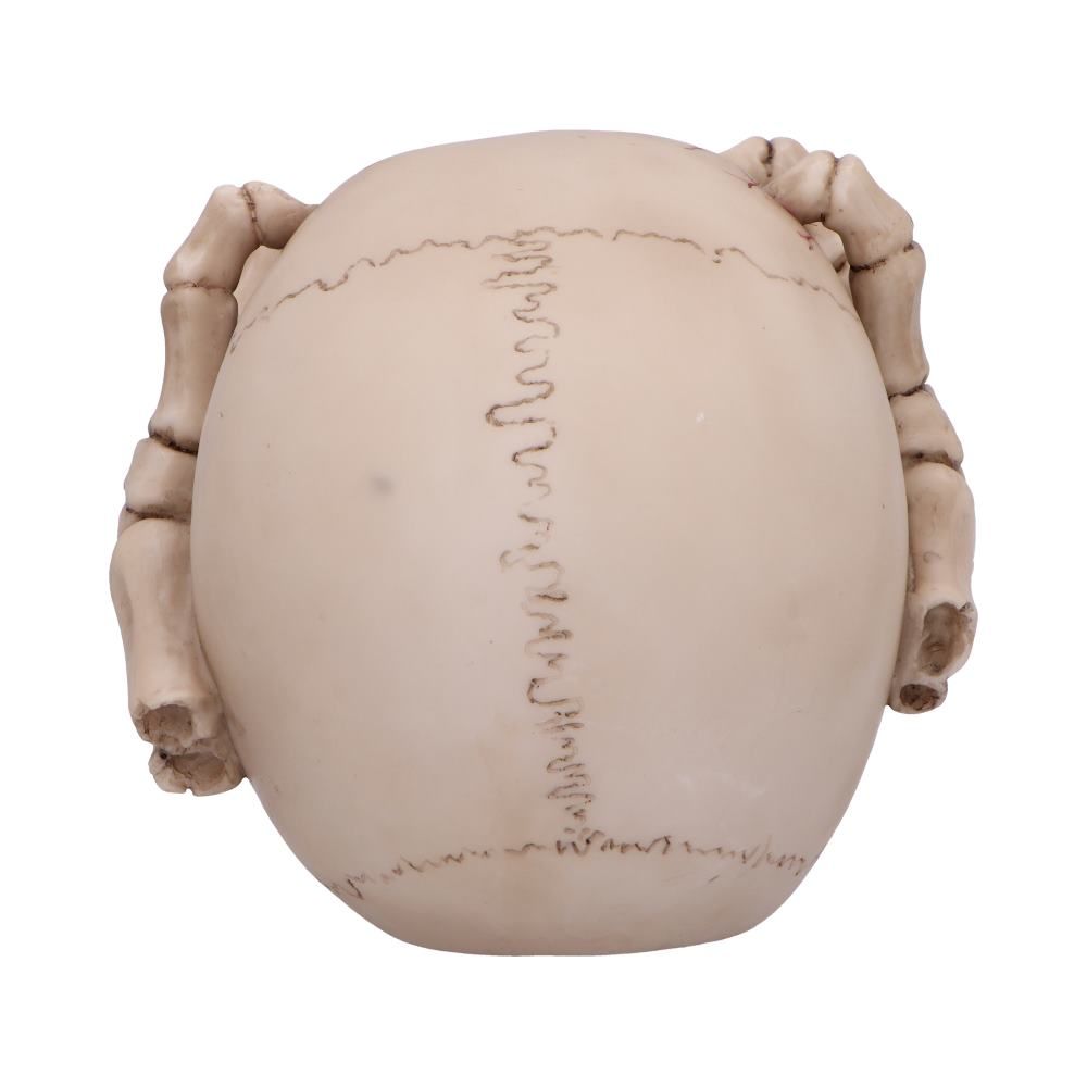 Cracked Skull