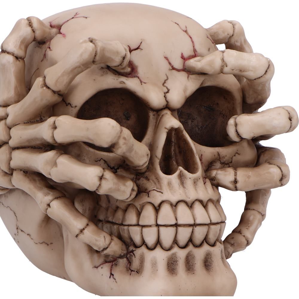 Cracked Skull