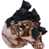Cranial Litter Cats & Skull Ornament
