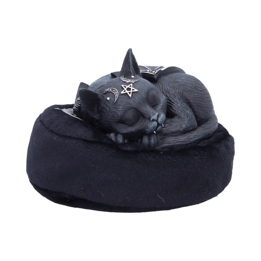 Cult Cuties Malpuss Dreams