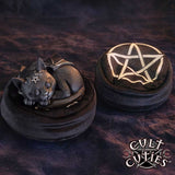 Cult Cuties Malpuss Dreams
