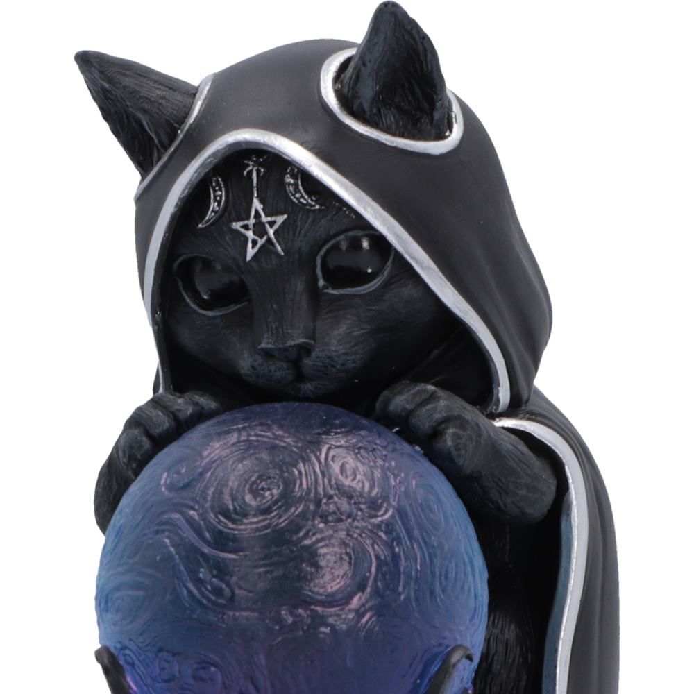 Zefur black cat mystical orb detail