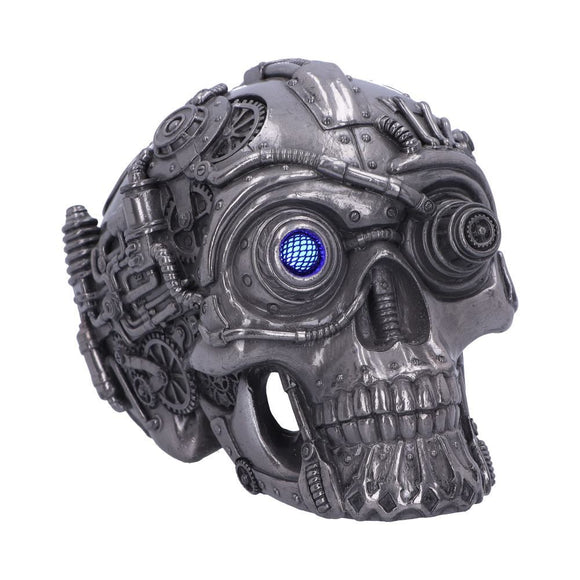 Cybertron Silver Skull