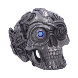 Cybertron Silver Skull