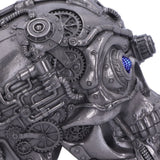 Cybertron Silver Skull