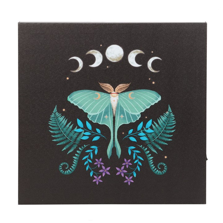 Luna Moth light up wall canvas with moon phases 30x30cm