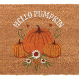 Autumn Days Hello Pumpkin Doormat